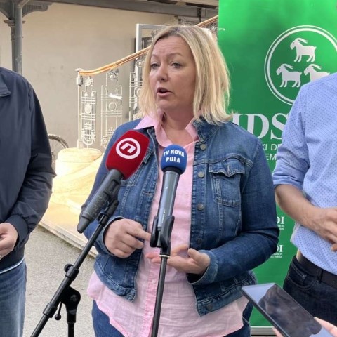 Klub žena IDS-a povodom Nacionalnog dana borbe protiv nasilja nad ženama 